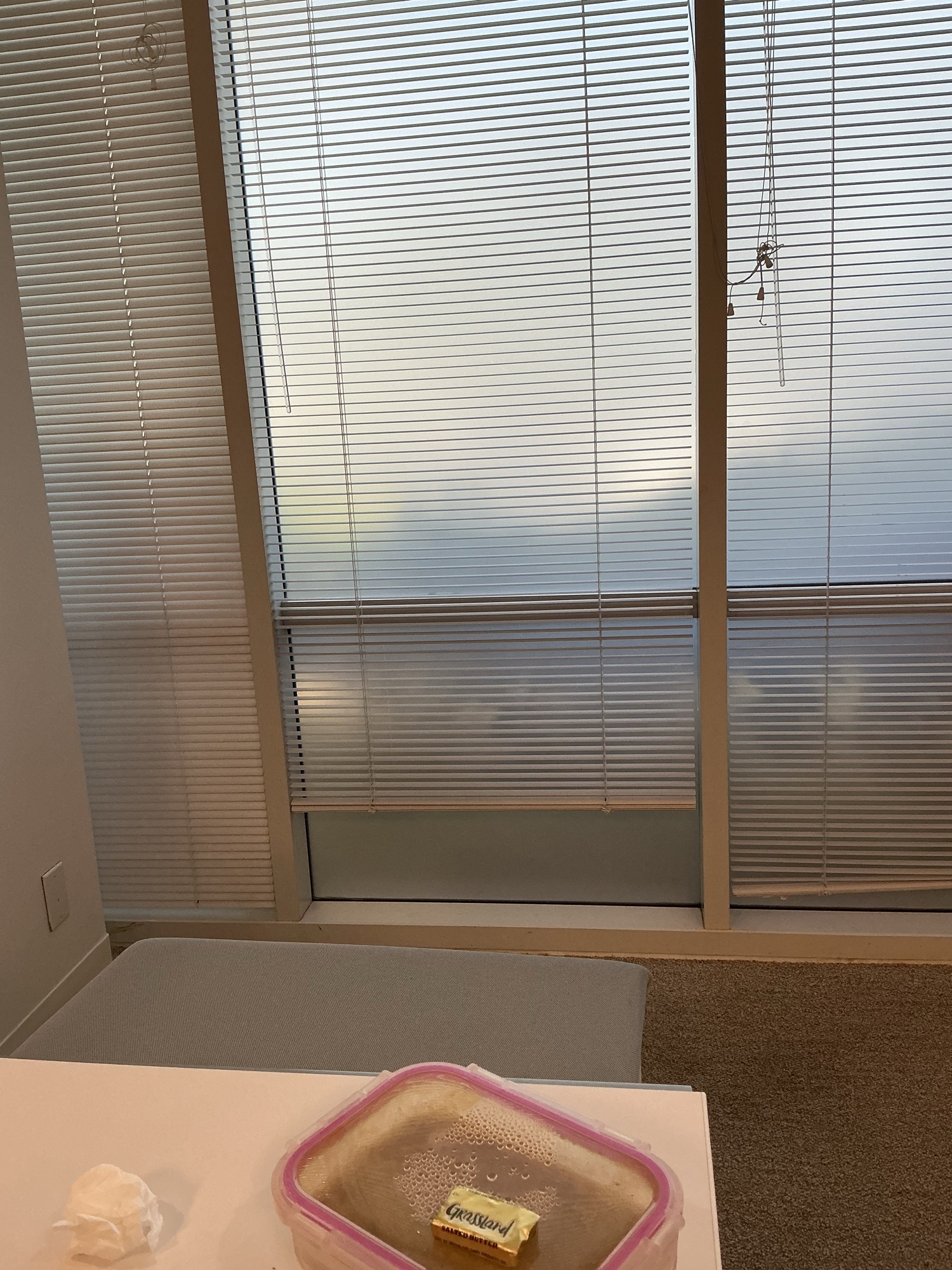 White Venetian Window Blinds